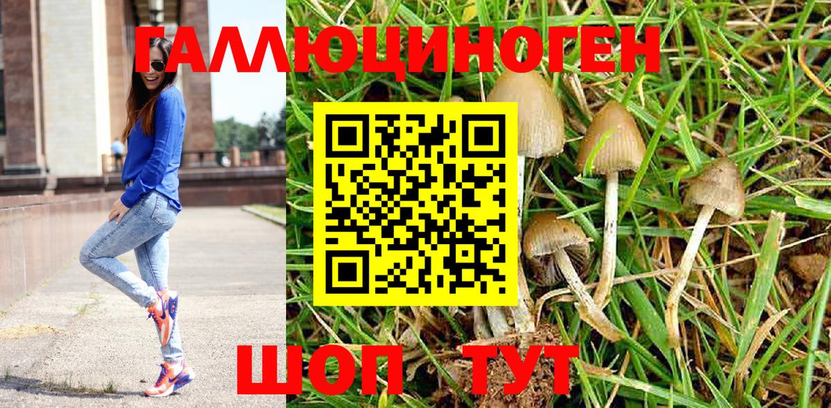 Крымск  даркнет сайт  Вход с VPN  Галлюциногенные грибы Psilocybine cubensis 