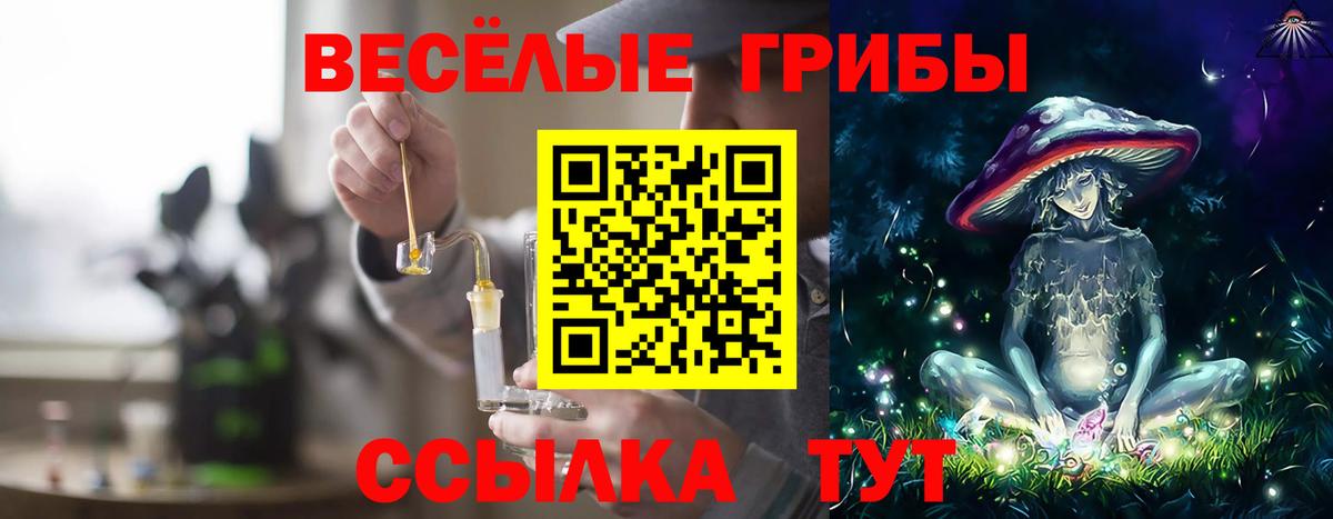 Псилоцибиновые грибы Psilocybine cubensis Крымск